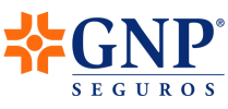 logo gnp